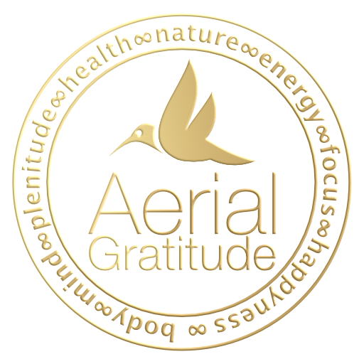 Aerial Gratitude